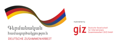 giz